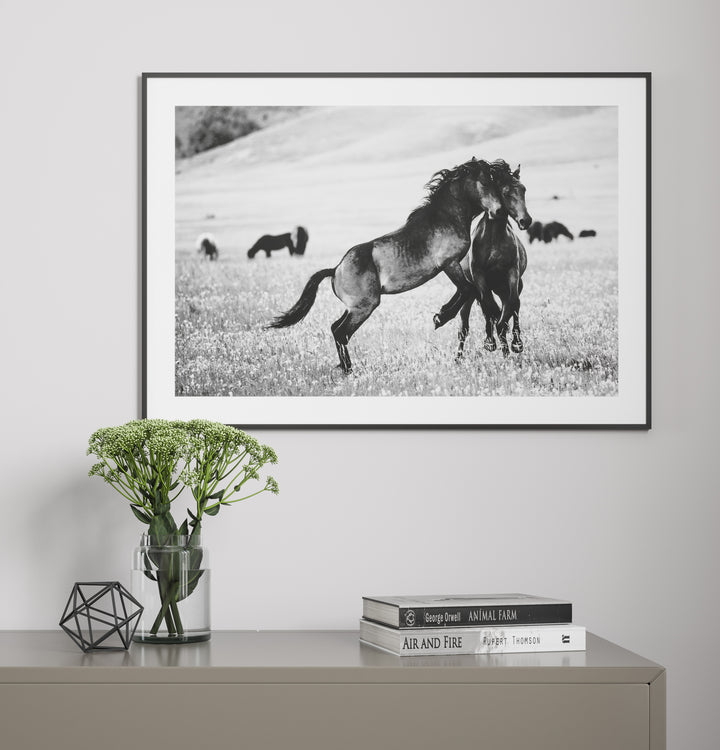Poster - Spawning