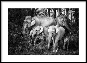 Poster - Family