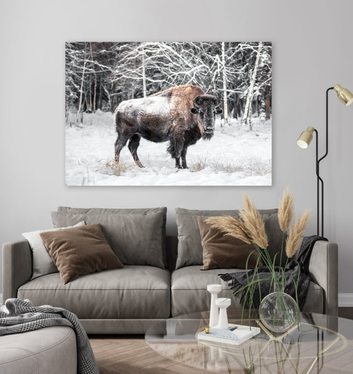 Tavla - Bison