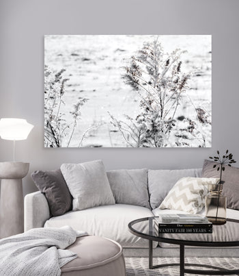 Tavla - Snow Garden