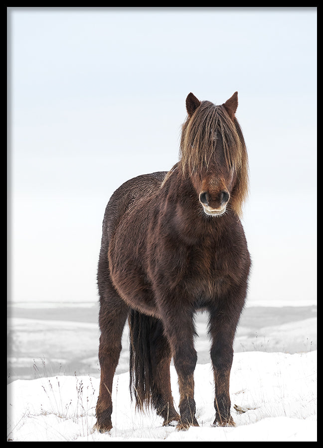 Poster - Breathtaking Beaty