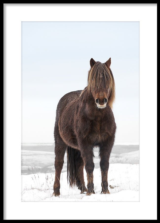 Poster - Breathtaking Beaty
