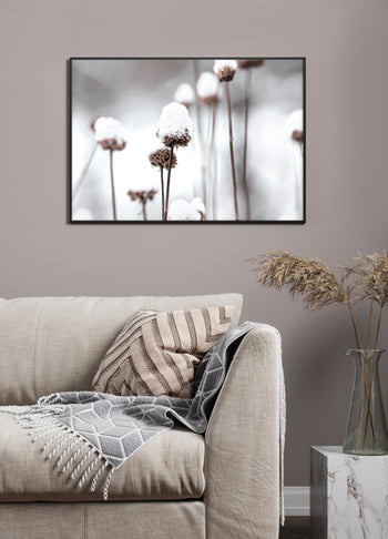 Poster - Dandelions and Snow