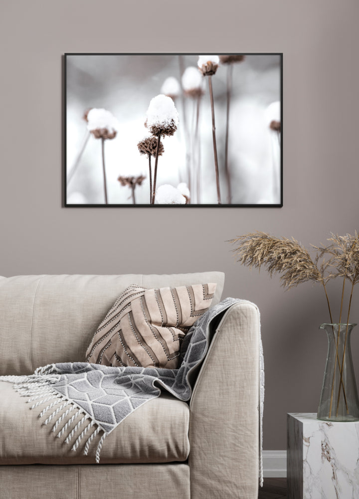 Poster - Dandelions and Snow