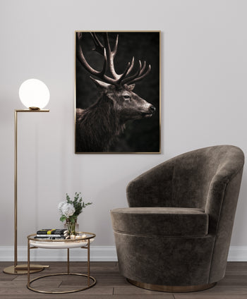 Poster - Stately