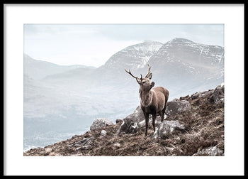 Poster - Rocks and Mountains