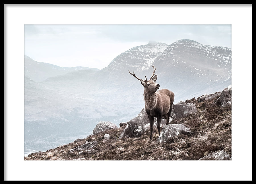 Poster - Rocks and Mountains