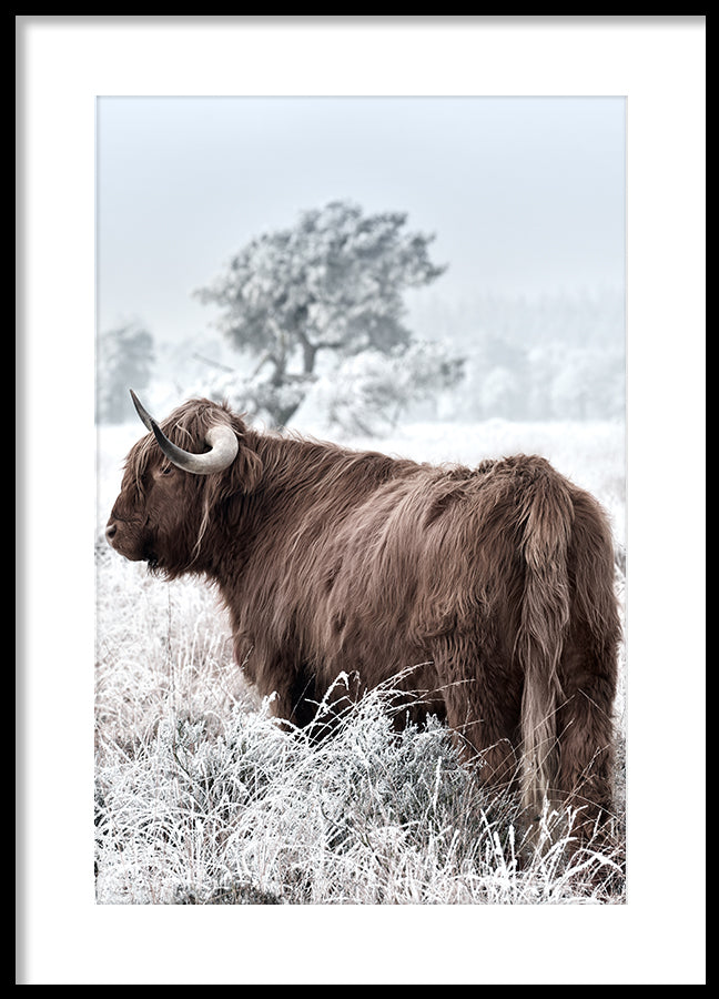 Poster - Highland