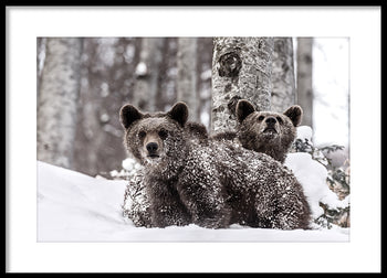Poster - Snowplay