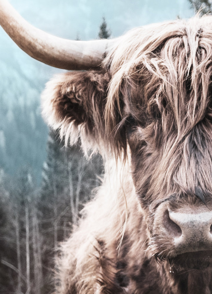 Tavla - Horns