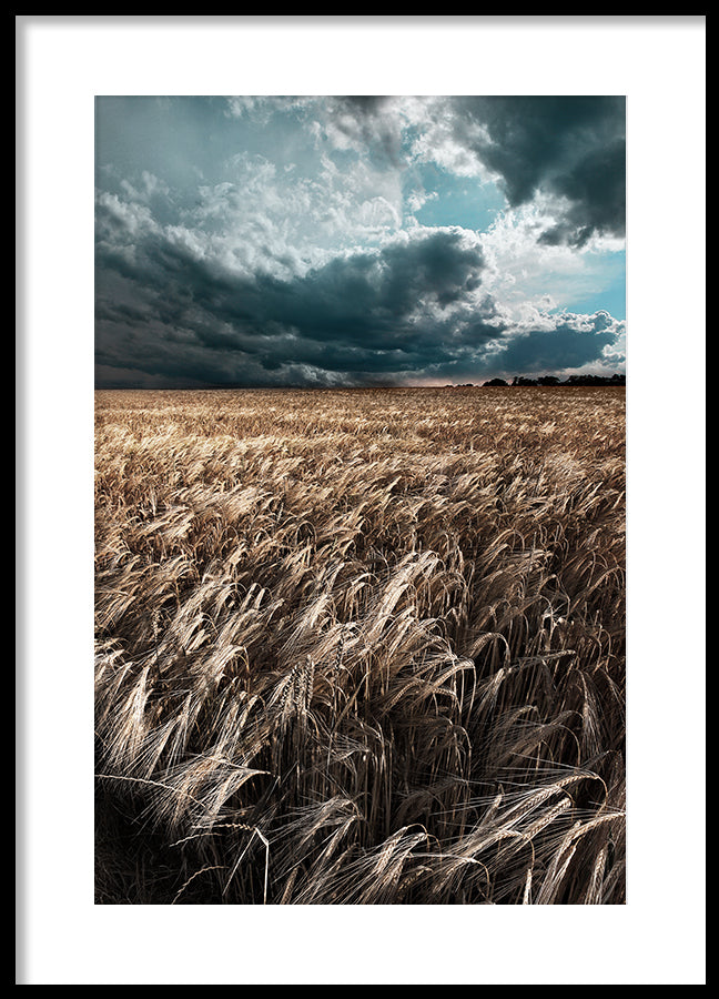 Poster - Field