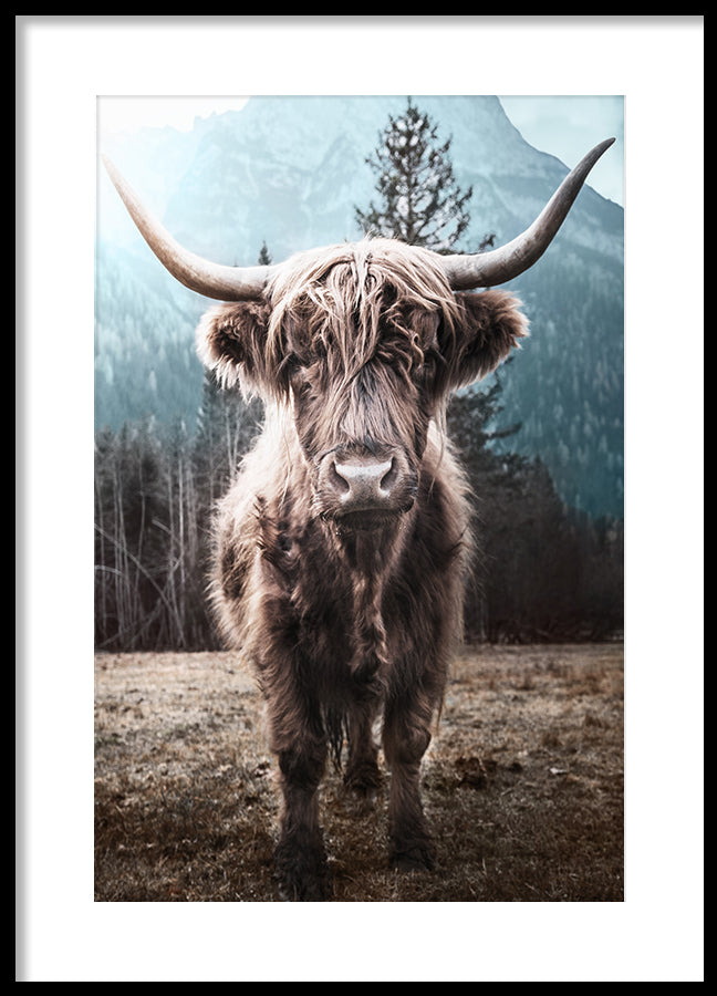 Poster - Horns