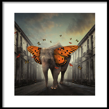 Poster - Dreams