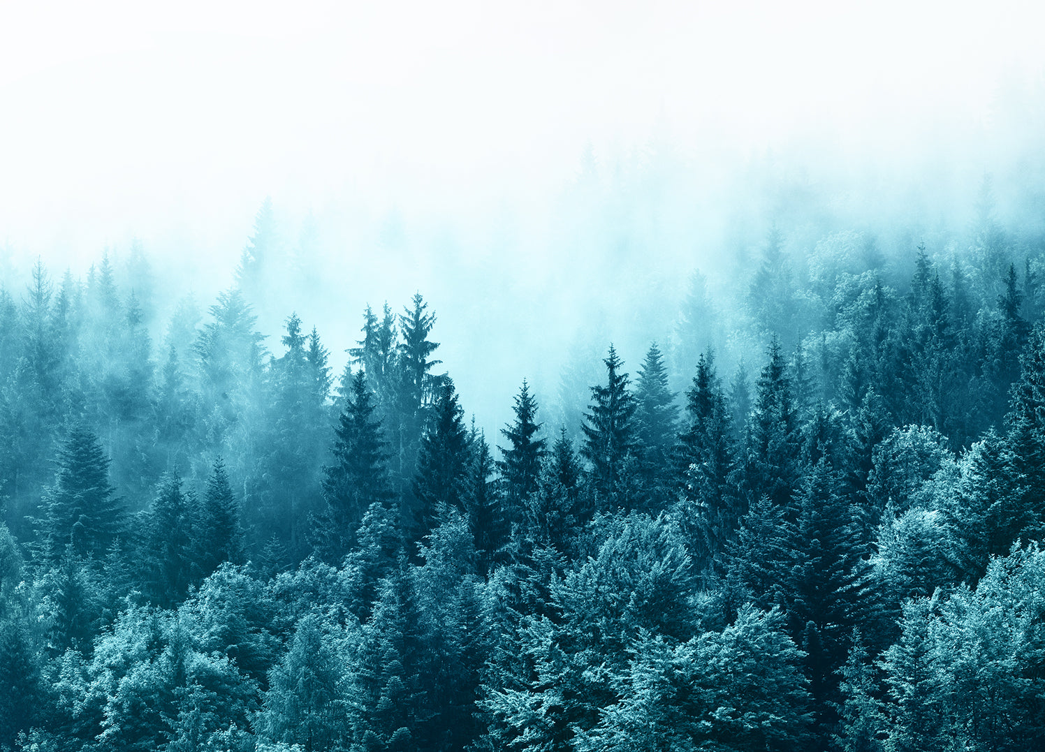 Tavla - Misty Mountains