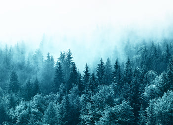 Tavla - Misty Mountains
