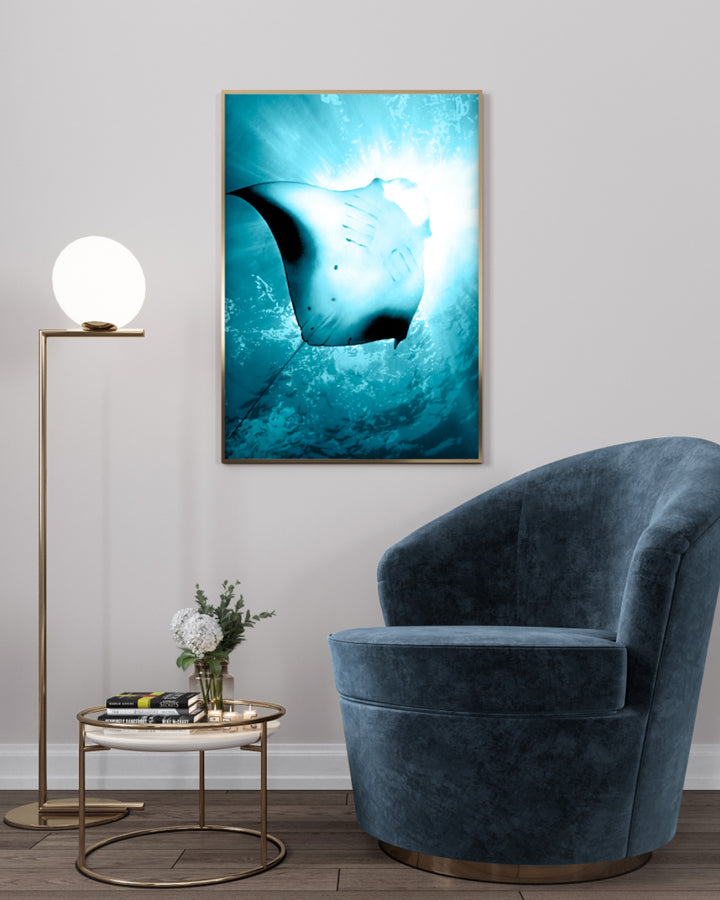 Poster - Sea Life