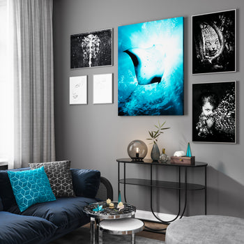 Poster - Sea Life