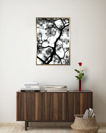 Poster - Magic Cherry