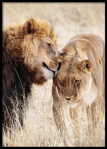 Poster - A King Only Bows Down to His Queen