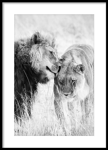 Poster - A King Only Bows Down to His Queen | Gray