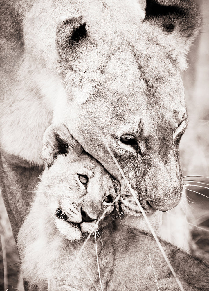 Tavla - Maternal Love