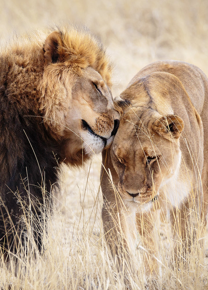 Canvastavla - A King Only Bows Down to His Queen