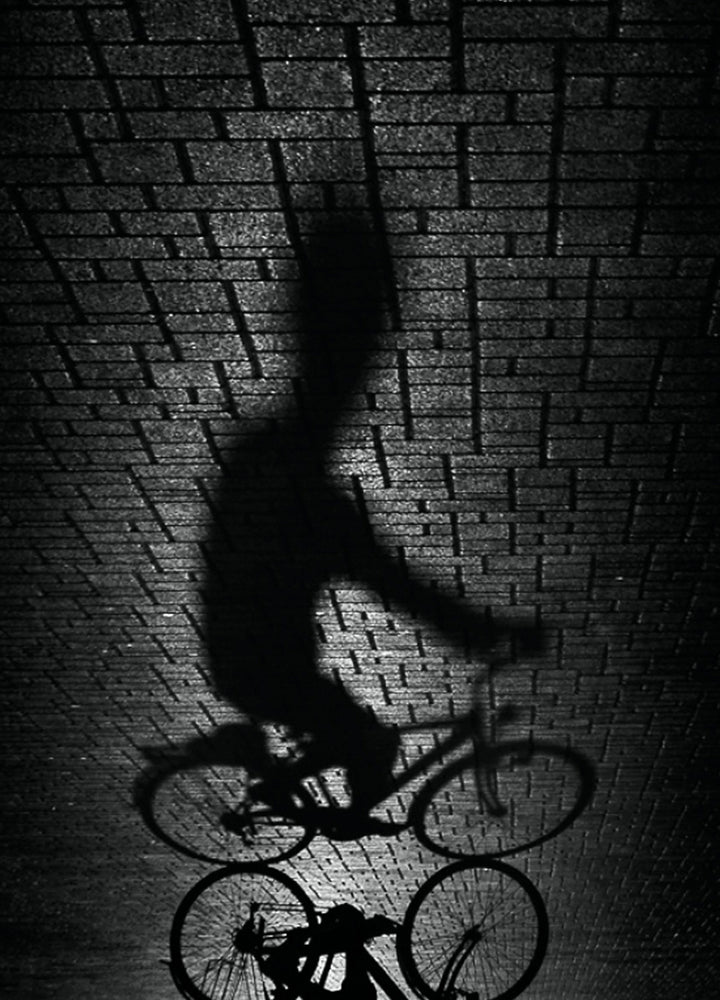 Canvastavla - Ride
