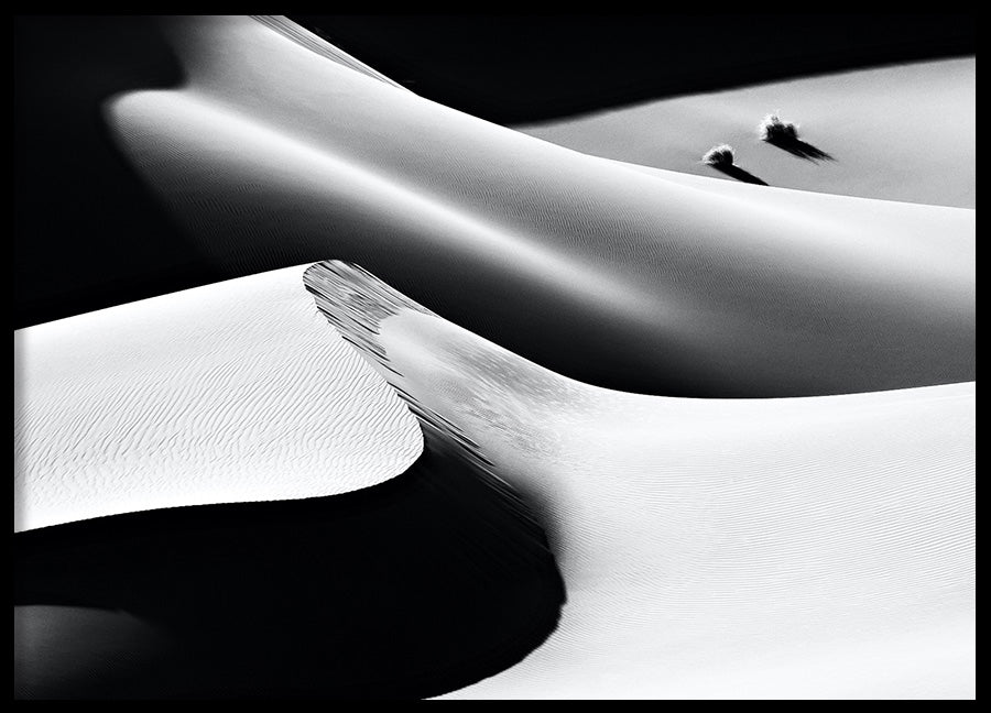 Poster - Sand Dune