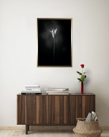 Poster - Bloom in The Light