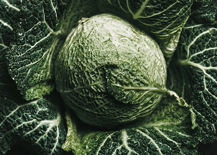 Canvastavla - Green Cabbage
