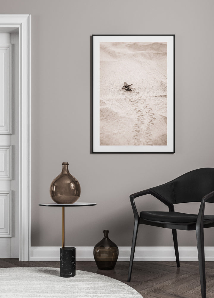 Poster - Race