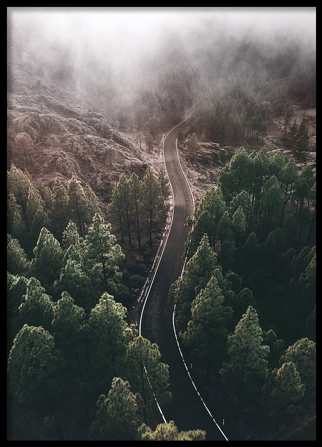 Poster - Woodland