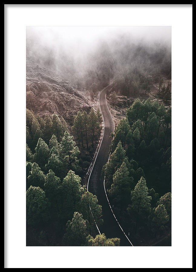 Poster - Woodland