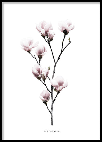 Poster - Twig