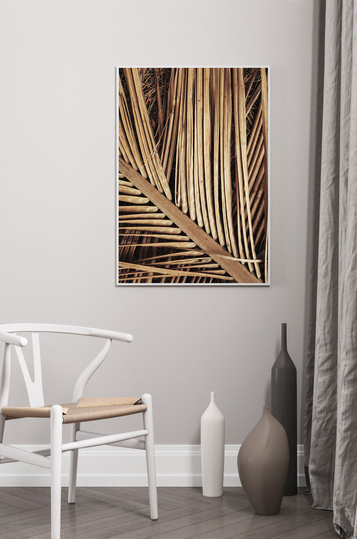 Poster - Reed