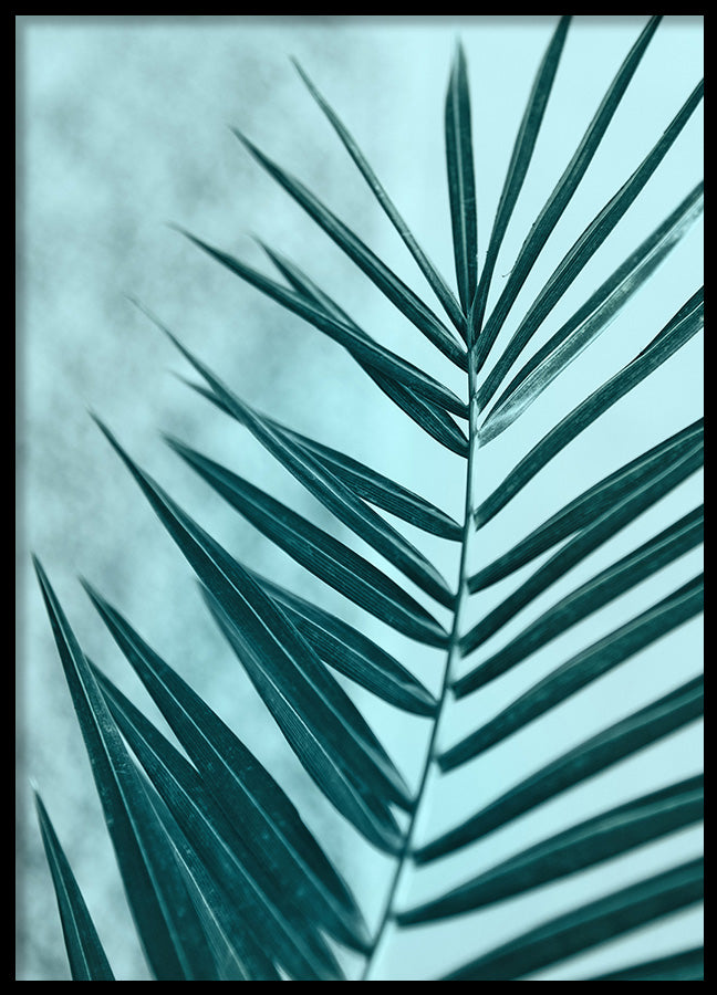 Poster - Palm