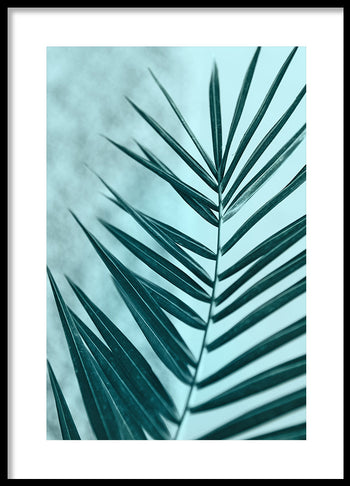 Poster - Palm
