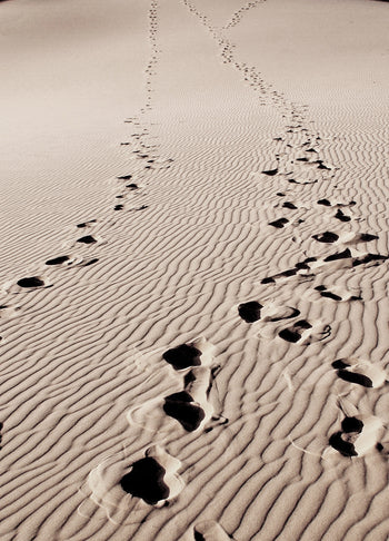 Tavla - Footmark
