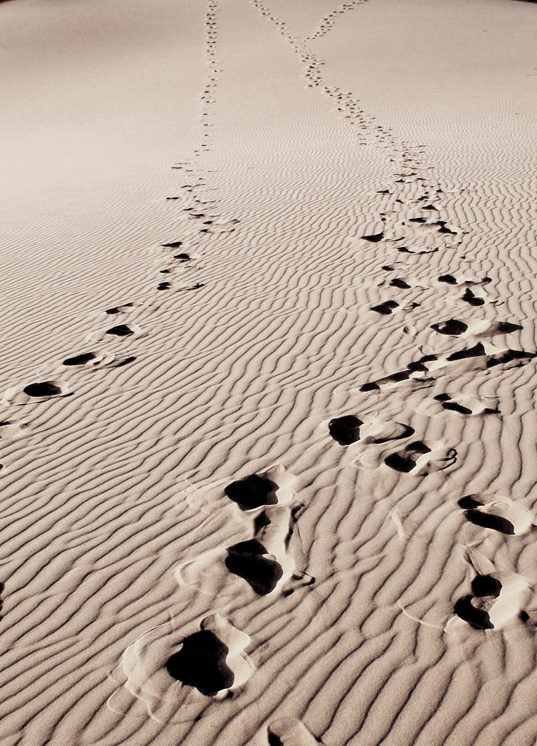 Tavla - Footmark