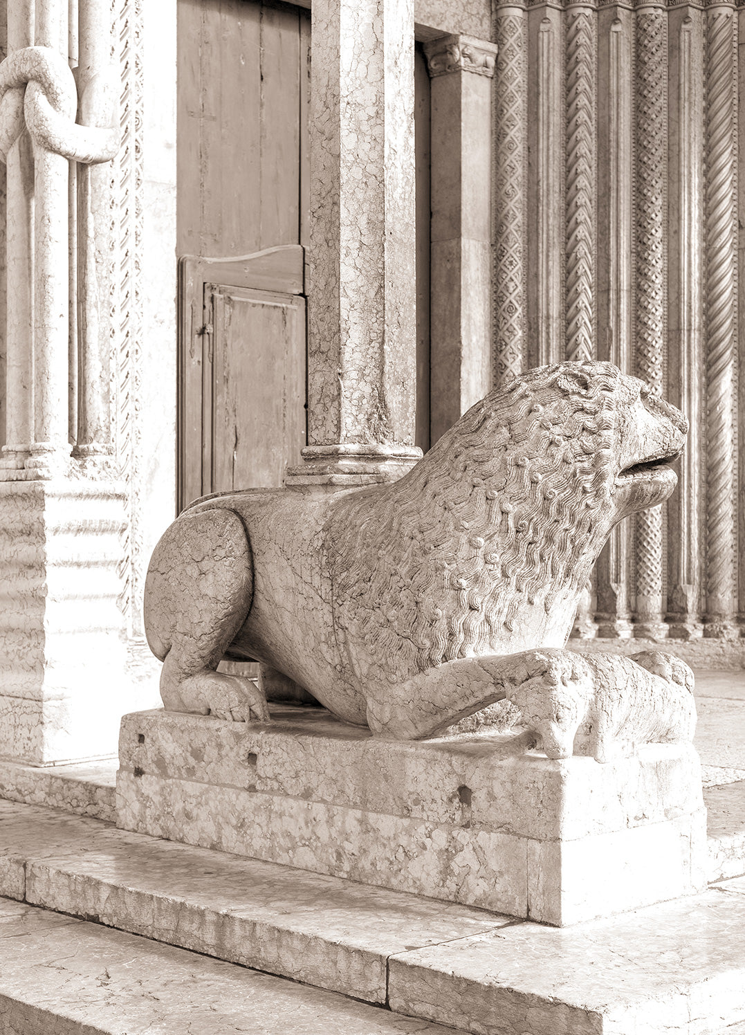 Tavla - Leo
