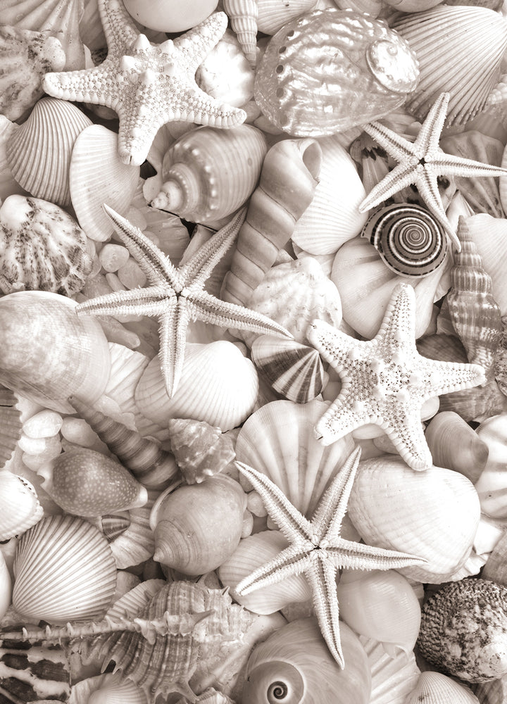 Tavla - Sea Life