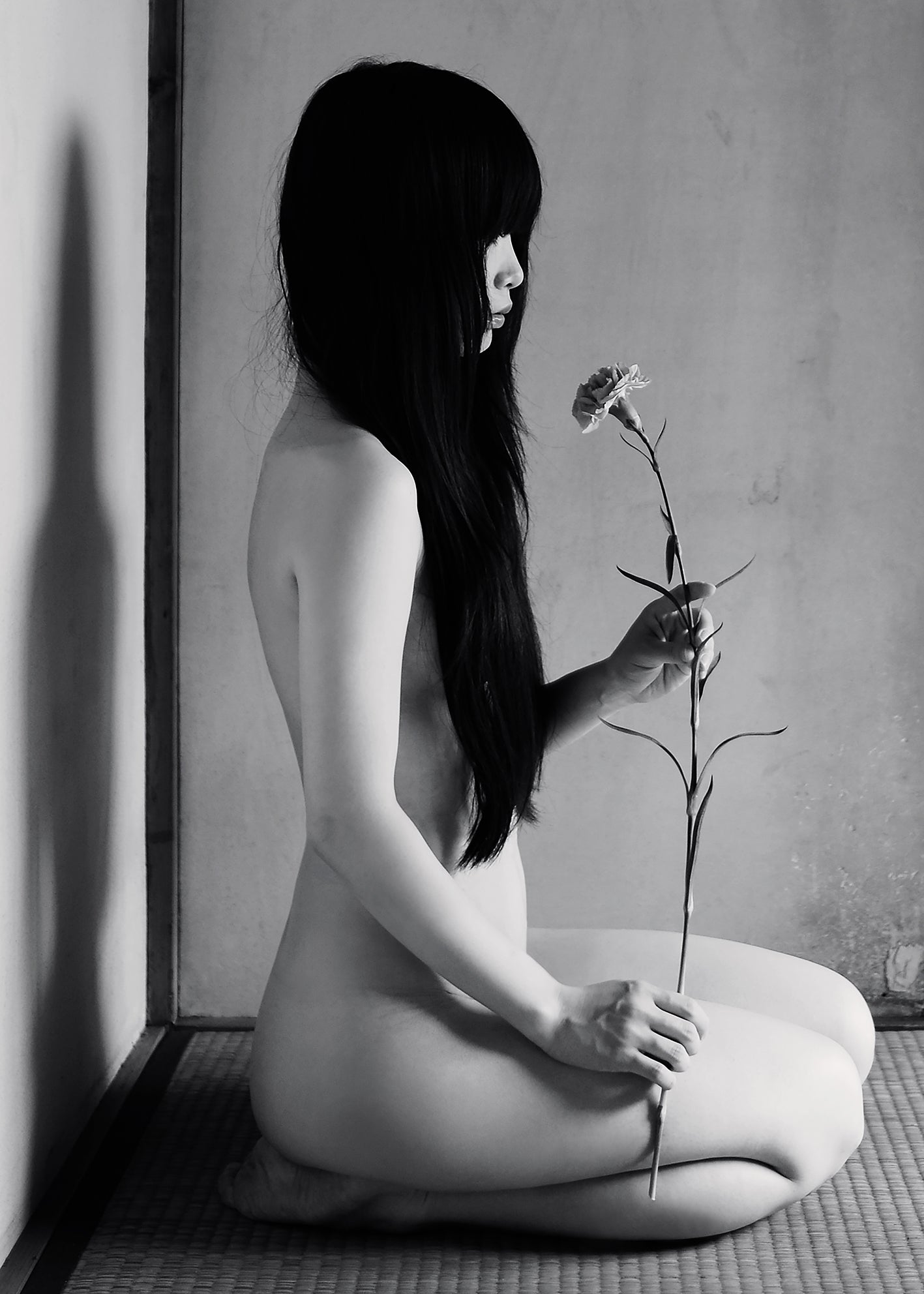 Canvastavla - Magic of Flowers