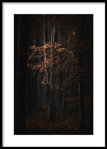 Poster - Golden Tree