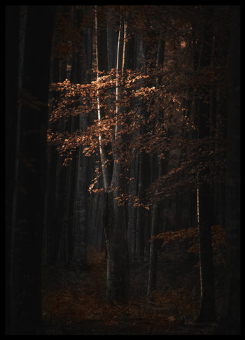Poster - Golden Tree