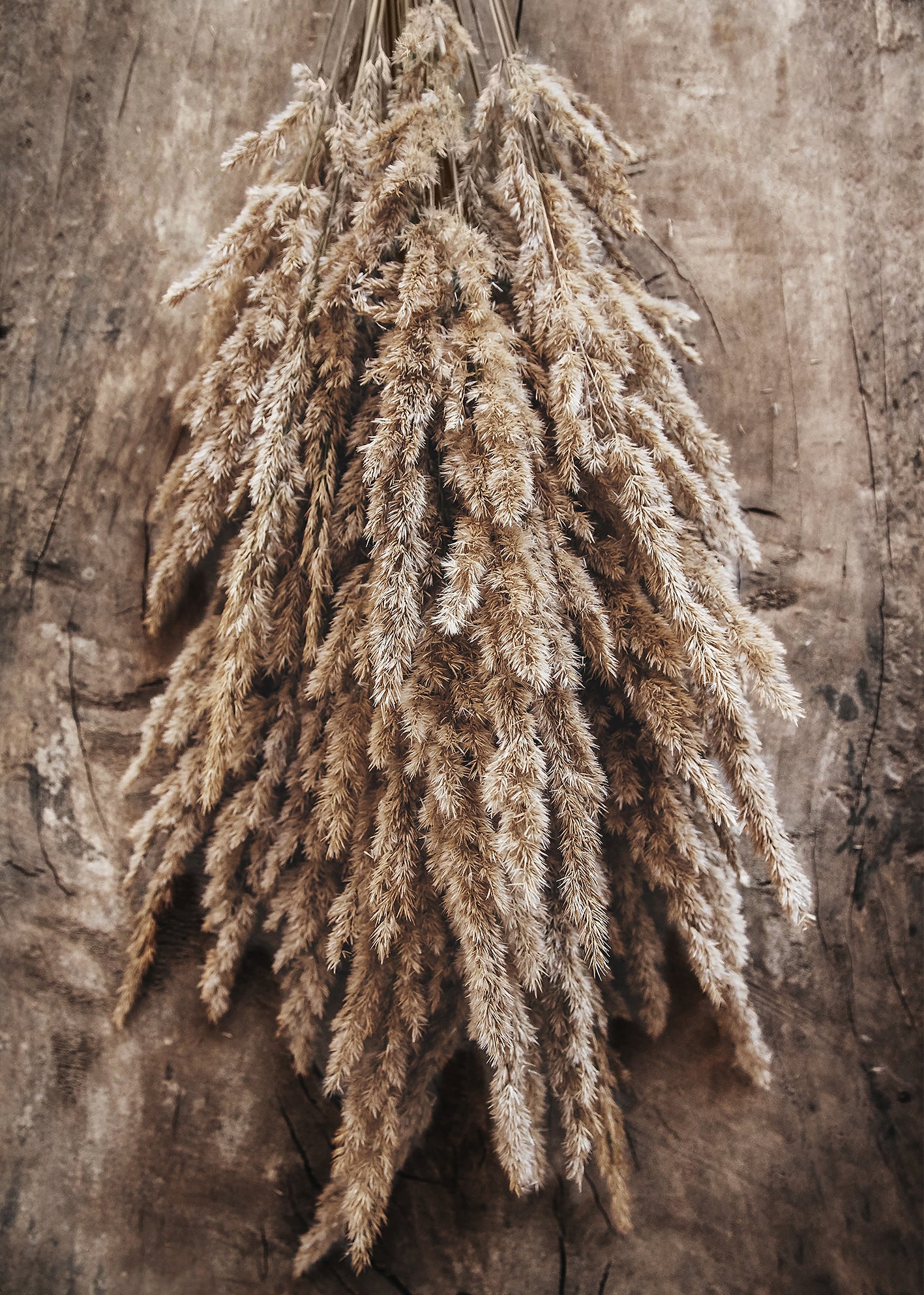 Canvastavla - Nosegay of Autumn