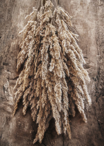 Canvastavla - Nosegay of Autumn
