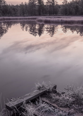 Canvastavla - Winter Sunrise
