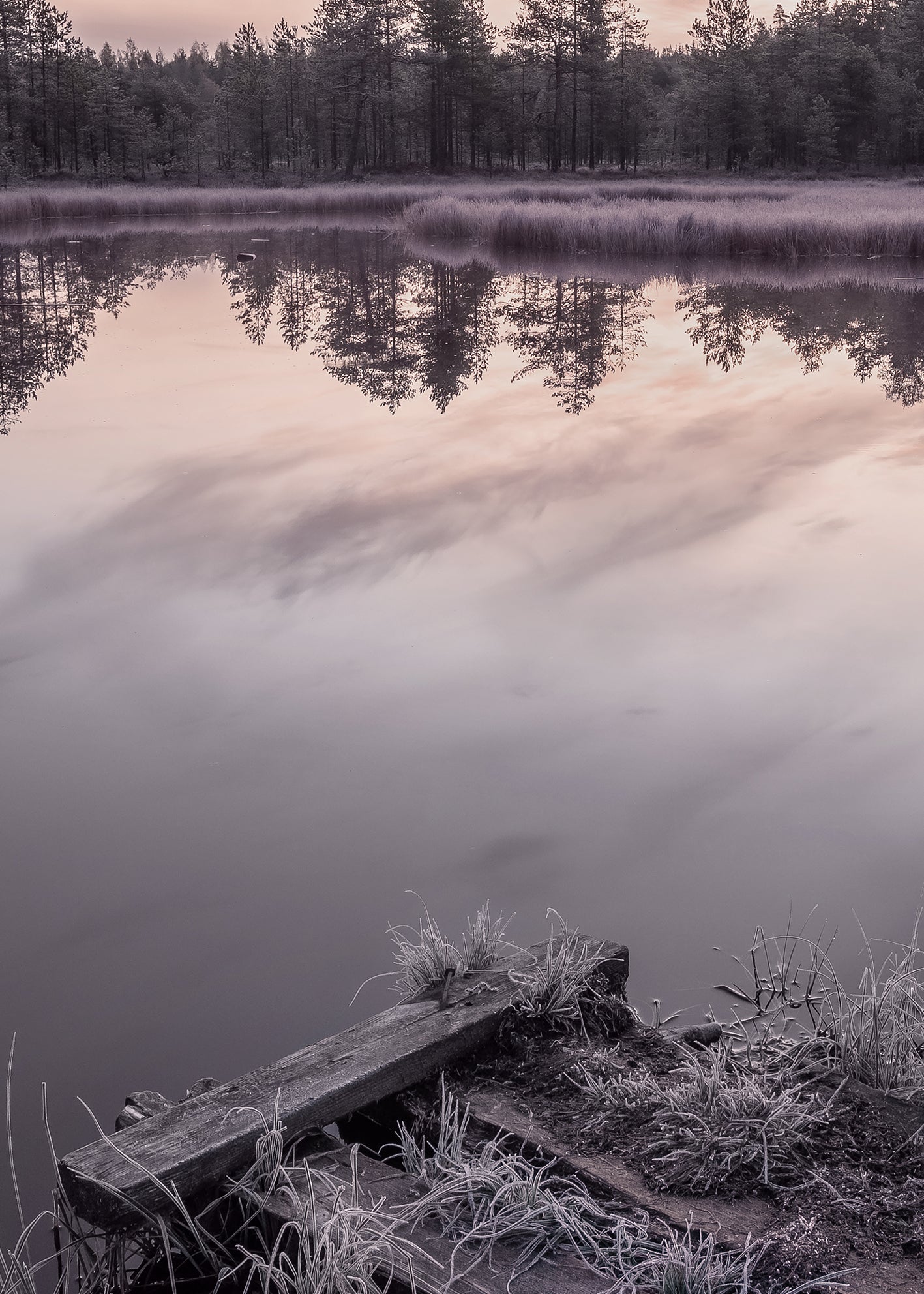 Canvastavla - Winter Sunrise