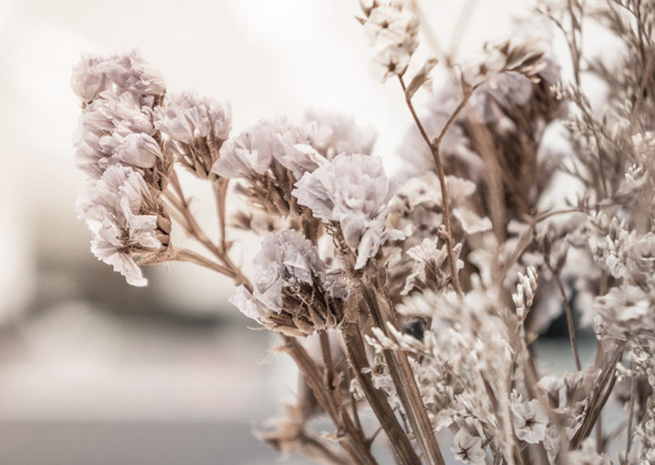 Juliste - Dry purple flower