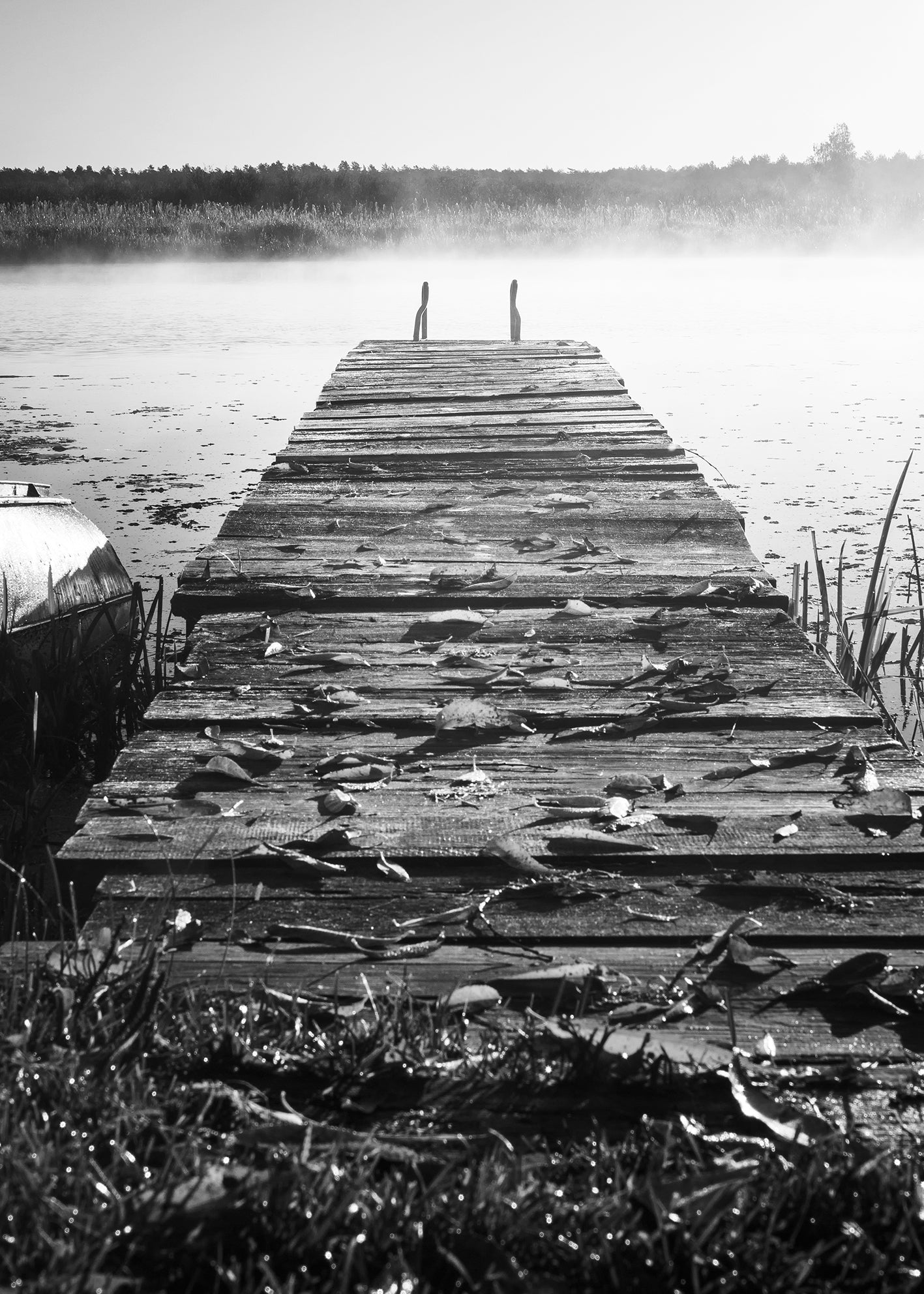 Canvastavla - Into The Distance